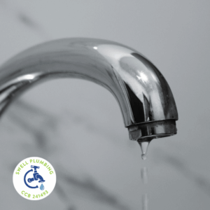 Close-up of a dripping faucet illustrating common household leaks and winter plumbing issues for Salem homeowners. Swell Plumbing logo visible in the corner.